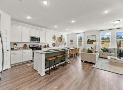 5835 Violet Berry Drive Montgomery TX 77316