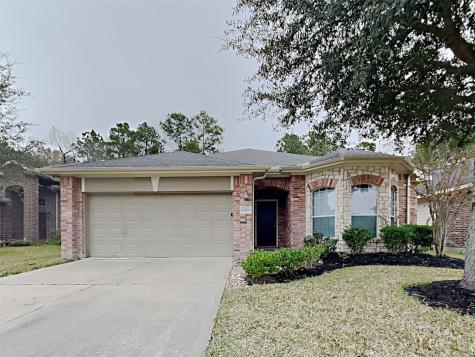 24630 Twisted Birch Court Spring TX 77373