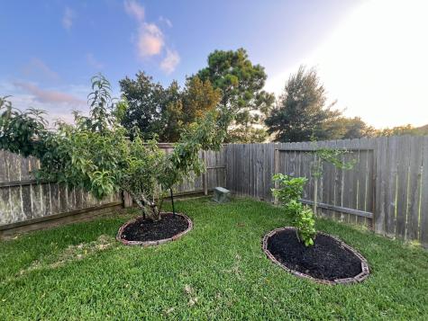 26955 Churchill Gate Lane Katy TX 77494