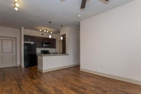 2930 Plum Creek Lane 2102 Houston TX 77087