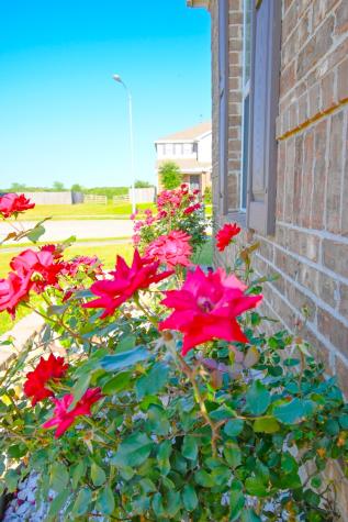 2607 Oakwood Bluff Trail Houston TX 77038
