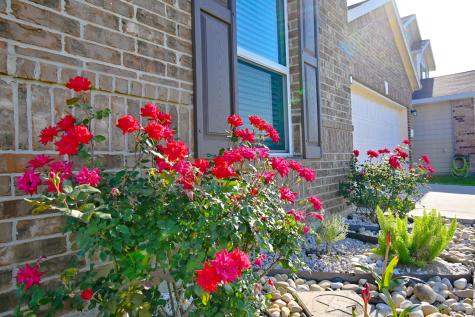 2607 Oakwood Bluff Trail Houston TX 77038