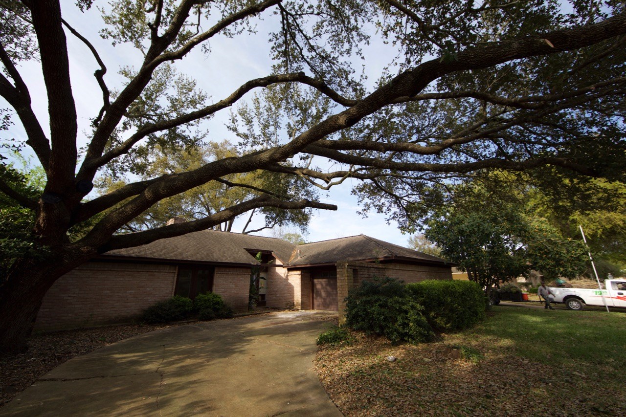 15626 Sandy Hill Drive Houston TX 77084