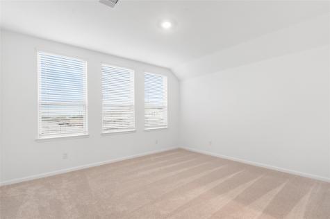 5734 Foggy Vine Court Fulshear TX 77441