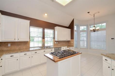 1723 Crescent Green Drive Houston TX 77094