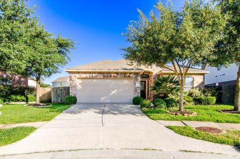 25206 Palm Forest Court Katy TX 77494
