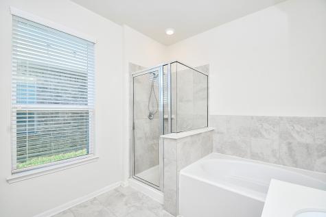 25427 King Reyes Street Katy TX 77493