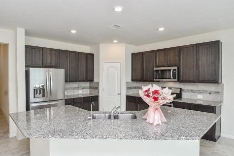 25427 King Reyes Street Katy TX 77493