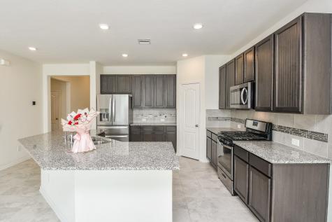 25427 King Reyes Street Katy TX 77493