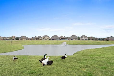 4371 N Vineyard Meadow Lane Katy TX 77449