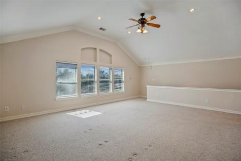 4207 Clearwater Court Missouri City TX 77459