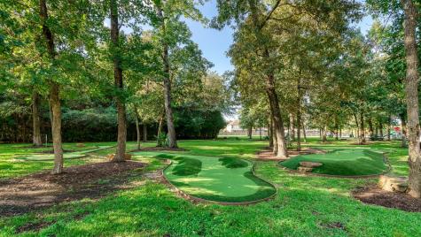 155 Quail Meadow Drive Conroe TX 77384
