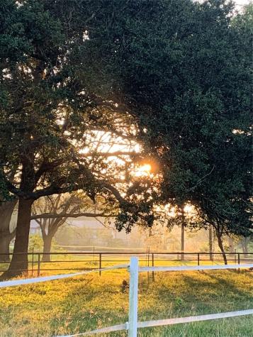 1391 County Road 668 Alvin TX 77511