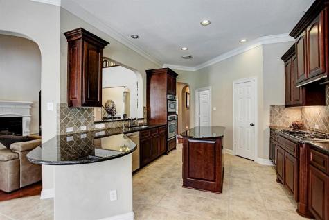 12610 Blanco Terrace Lane Houston TX 77041
