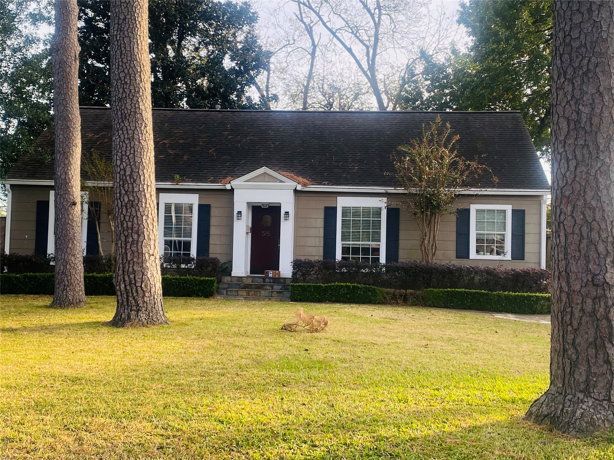 515 W 30th Street Houston TX 77018