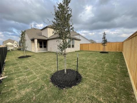 10815 Spiny Elm Court Cypress TX 77433