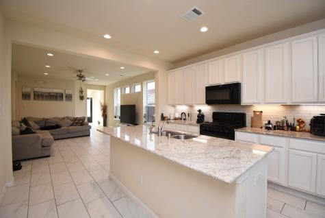 13038 Leisure Cove Drive La Marque TX 77568