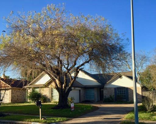 16810 Applecross Lane Houston TX 77084