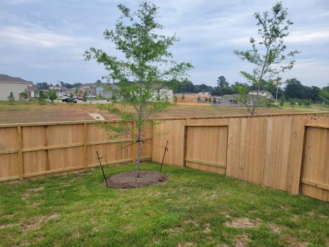 14930 Dane Court Montgomery TX 77316