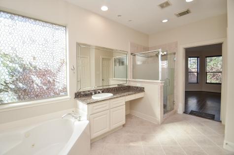 12610 Blossom Walk Lane Houston TX 77041