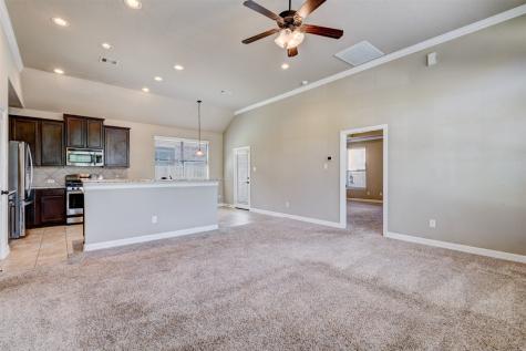 25151 Alina Lane Spring TX 77386