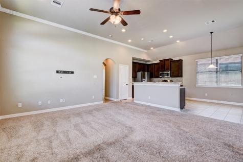 25151 Alina Lane Spring TX 77386