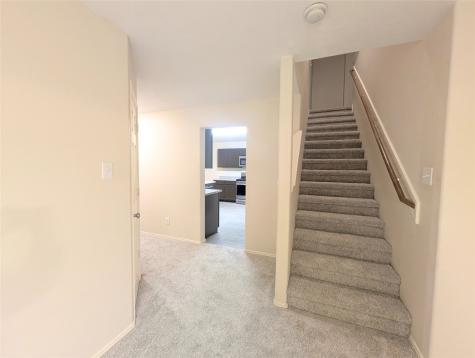 18203 Wild Orchid Drive Houston TX 77084