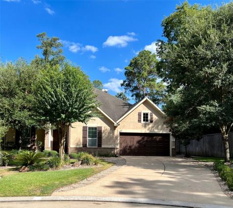 2 Sandwell Place Spring TX 77389