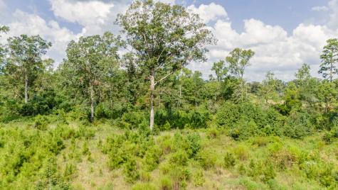 17171 E Fm 1097 Road Willis TX 77378