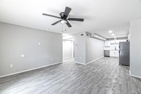 9711 Linkmeadow Lane 3 Houston TX 77025