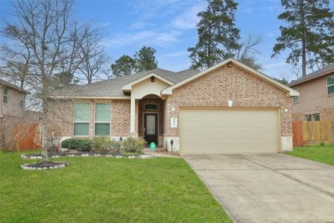 14022 White Cloud Lane Conroe TX 77384