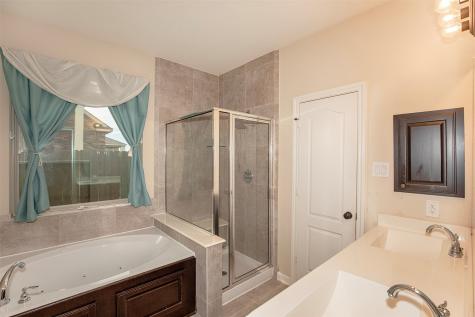 2868 Ginger Cove Lane Dickinson TX 77539