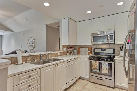 87 Woodlily Place The Woodlands TX 77382