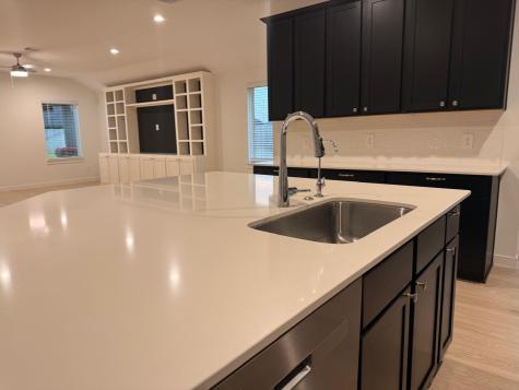 29903 Foxtail Pine Court Katy TX 77494