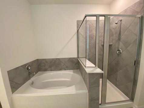 6531 White Tail Court Richmond TX 77406