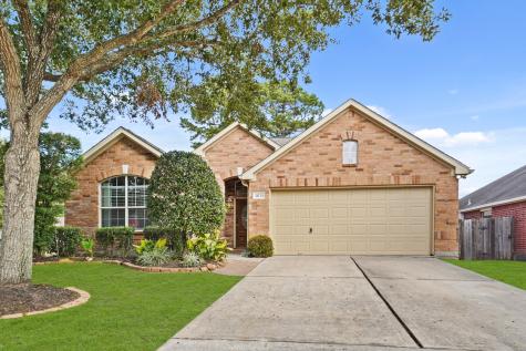 14134 Austin Hollow Court Houston TX 77044