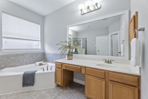 1221 Torchwood Drive Friendswood TX 77546