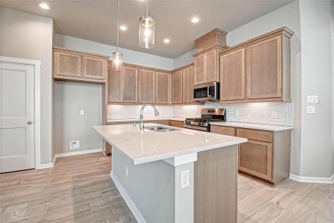 315 N Spotted Fern Drive Montgomery TX 77316
