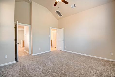 315 N Spotted Fern Drive Montgomery TX 77316