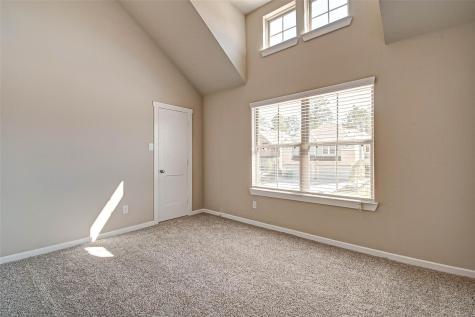 315 N Spotted Fern Drive Montgomery TX 77316