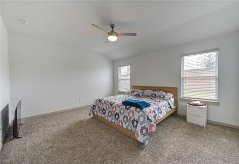 29522 Cayenne Circle Katy TX 77494