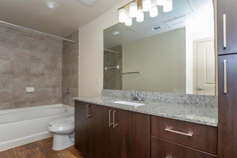 2930 Plum Creek Lane 2111 Houston TX 77087