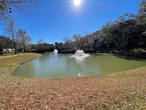 9103 Creekstone Lake Drive Houston TX 77054