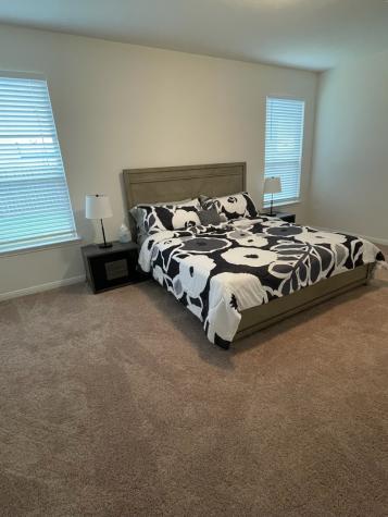 3019 Kastania Lane N Fresno TX 77545