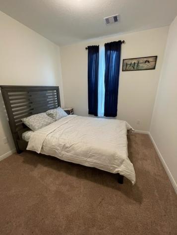 3019 Kastania Lane N Fresno TX 77545