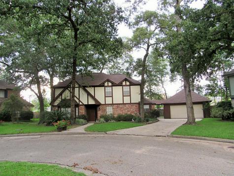 3 Nottinghill Court Conroe TX 77304