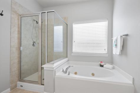 19534 Country Canyon Drive Spring TX 77388