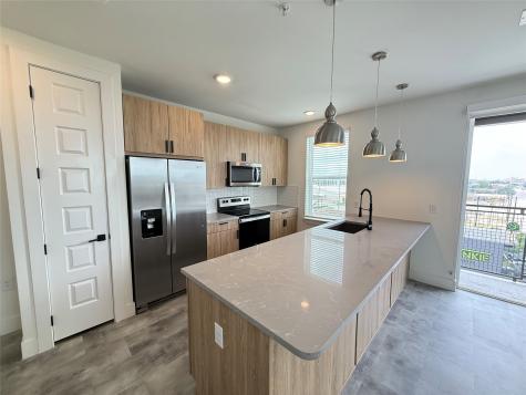 2520 Washington Avenue B3-820 Houston TX 77007