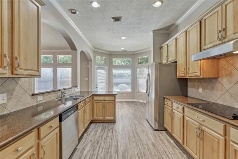 7 Raindance Court The Woodlands TX 77385