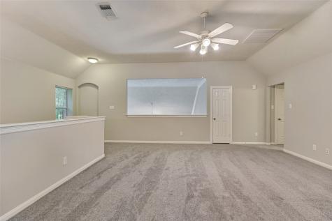 7 Raindance Court The Woodlands TX 77385